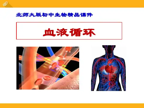 《血液循环》(ppt)课件