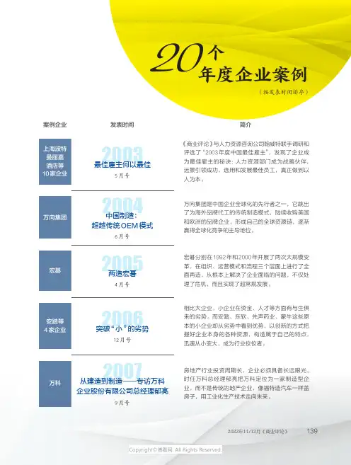 20个年度企业案例