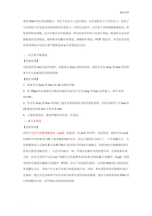 重组质粒的鉴定方法