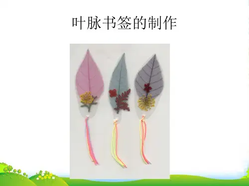 人教版二年级美术：叶脉书签的制作-素材-课件