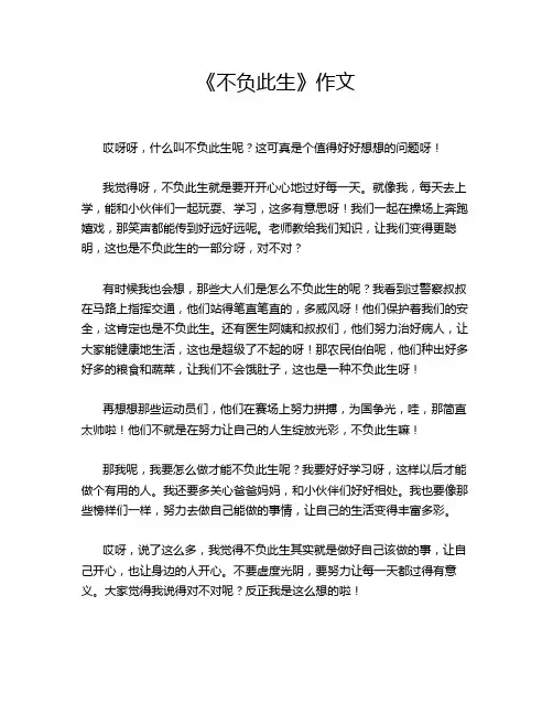《不负此生》作文