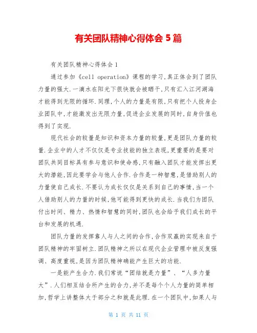 有关团队精神心得体会5篇