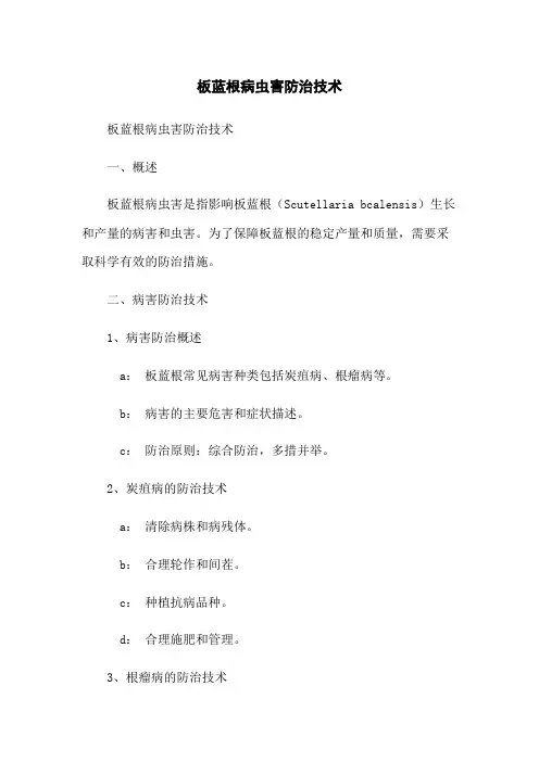 板蓝根病虫害防治技术