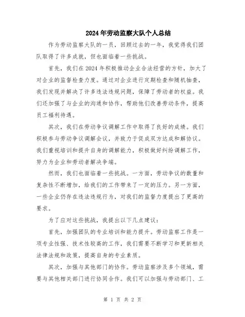 2024年劳动监察大队个人总结