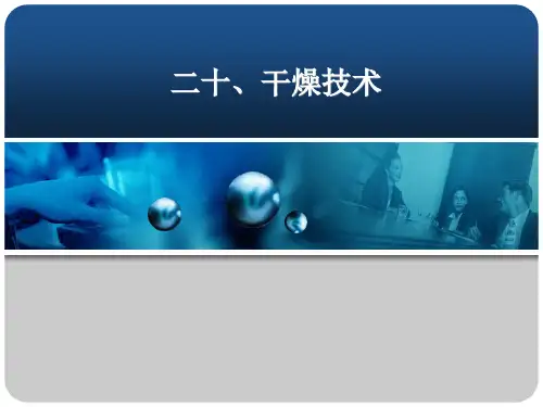 干燥技术ppt课件