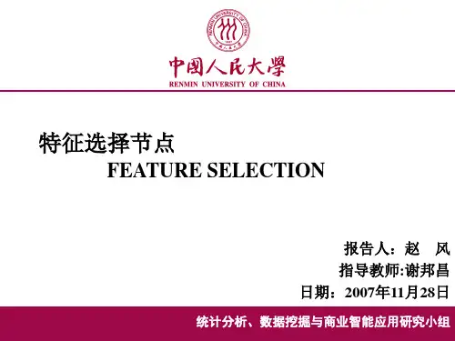 特征选择PPT_赵风