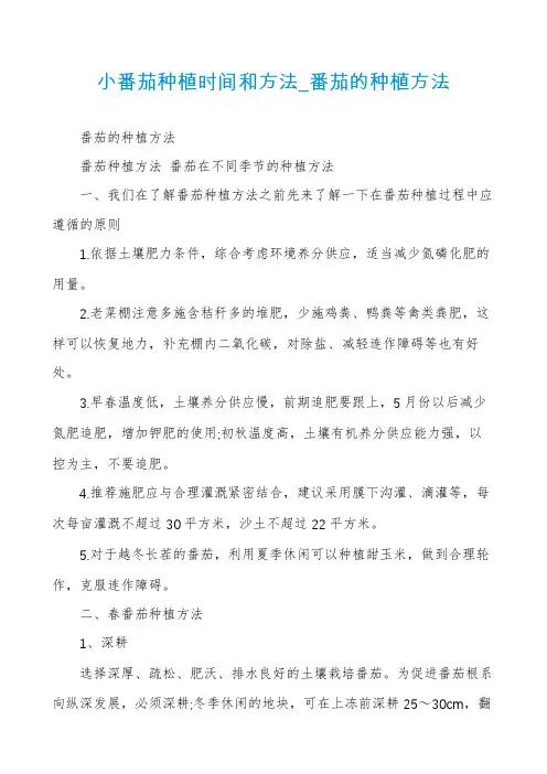 小番茄种植时间和方法_番茄的种植方法