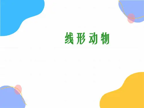 生物人教版八年级(上册)5.1.2线形动物和环节动物(2024版新教材)