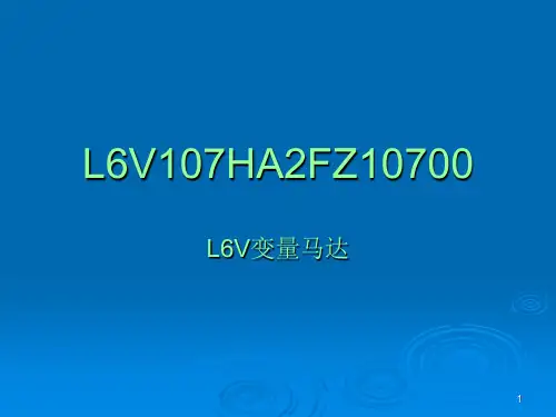 变量马达