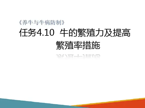 牛的繁殖种牛的饲养管理—牛的繁殖力及提高繁殖率措施