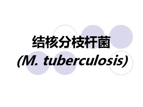 结核分枝杆菌