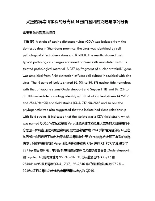 犬瘟热病毒山东株的分离及N蛋白基因的克隆与序列分析