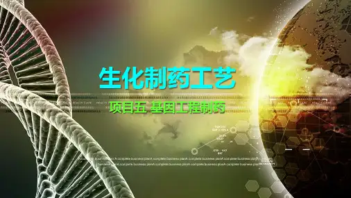 基因工程制药技术 基因工程操作流程