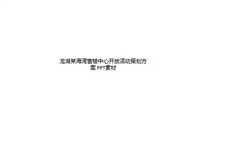 龙湖某海湾售楼中心开放活动策划方案 PPT素材