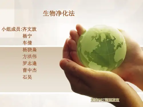 生物净化法