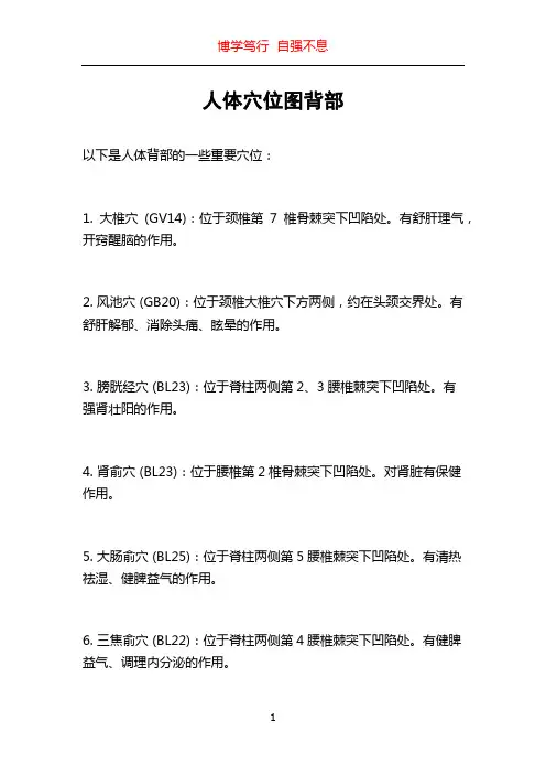 人体穴位图背部