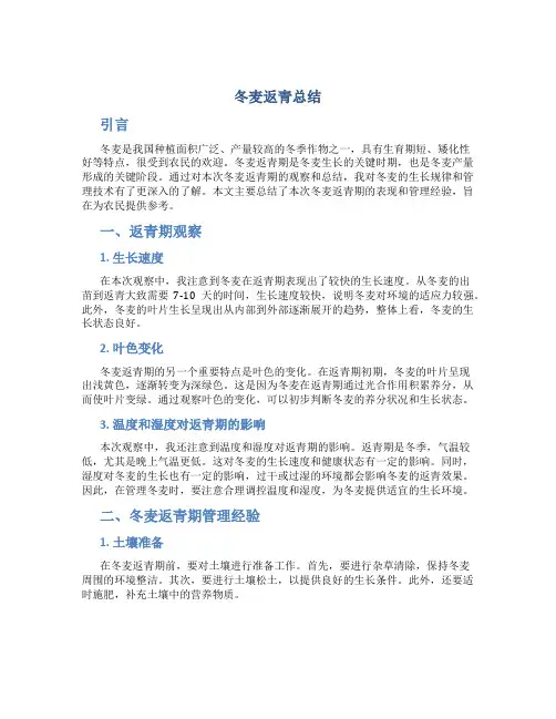 冬麦返青总结
