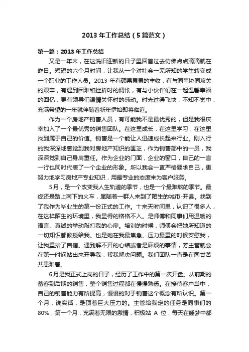 2013年工作总结（5篇范文）