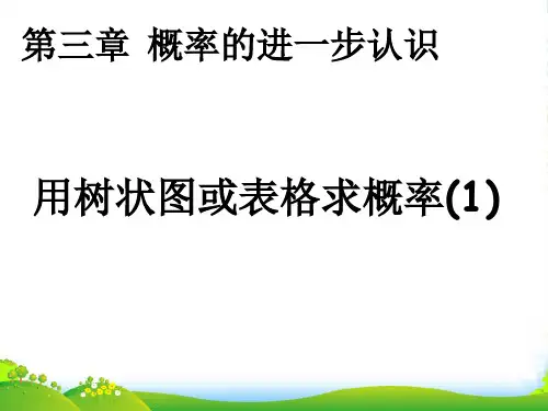 北师大版数学九年级上册3.1.1 用树状图或表格求概率(1)课件