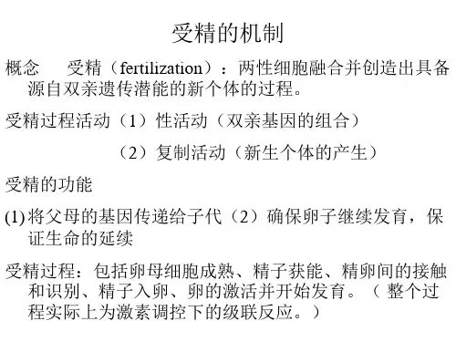 受精的机制