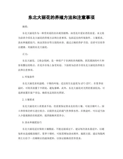 东北大丽花的养殖方法和注意事项