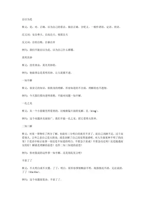 形容自己不知道的以为自己知道的成语