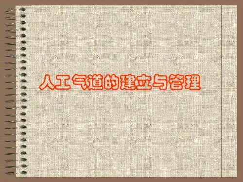 人工气道的建立与管理