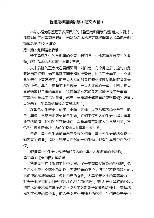 鲁迅兔和猫读后感（范文6篇）