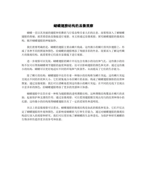 蝴蝶翅膀结构的显微观察