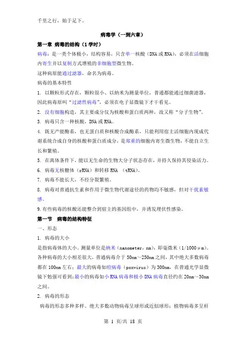 病毒学(一到六章)