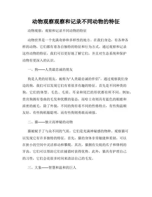 动物观察观察和记录不同动物的特征