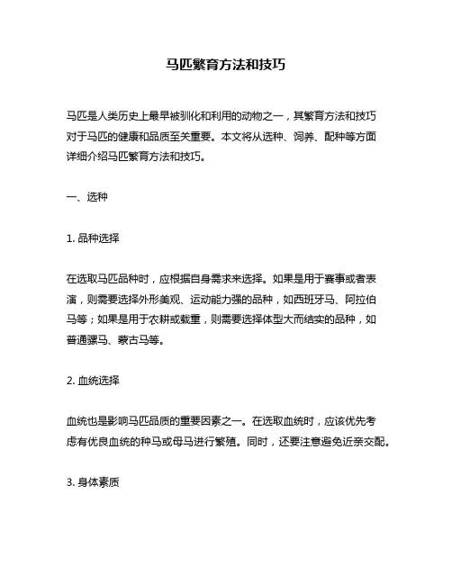 马匹繁育方法和技巧
