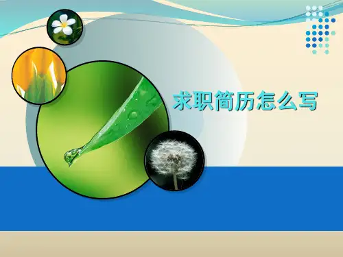 求职简历怎么写PPT(共 31张)