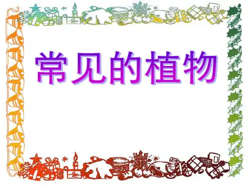 《常见的植物》PPT【精选推荐课件】