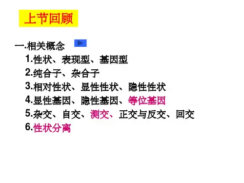 分离定律计算(理)PPT课件