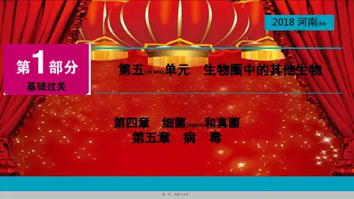 中考生物总复习 第1部分 第5单元 第4章 第5章 细菌和真菌、病毒课件