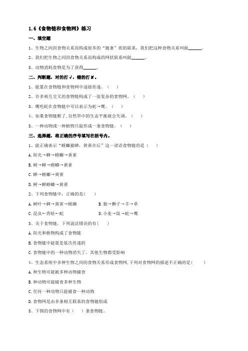 1-6《食物链和食物网》练习题(含答案)