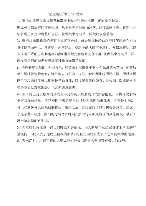壁虎尾巴的作用和特点