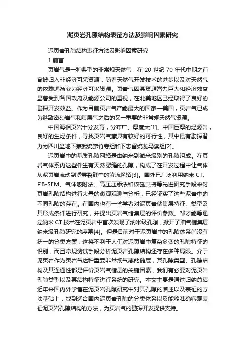 泥页岩孔隙结构表征方法及影响因素研究