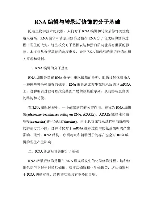 RNA编辑与转录后修饰的分子基础