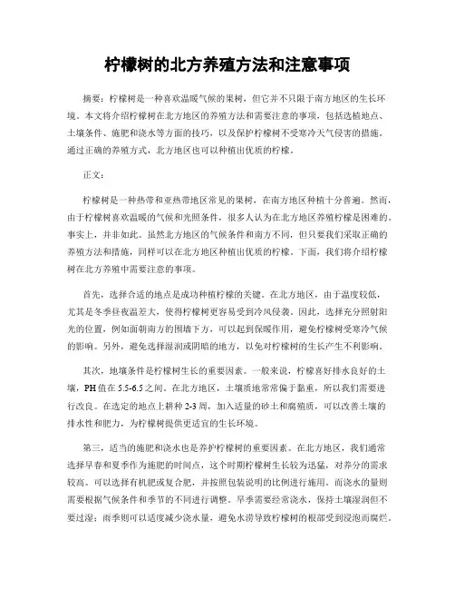 柠檬树的北方养殖方法和注意事项