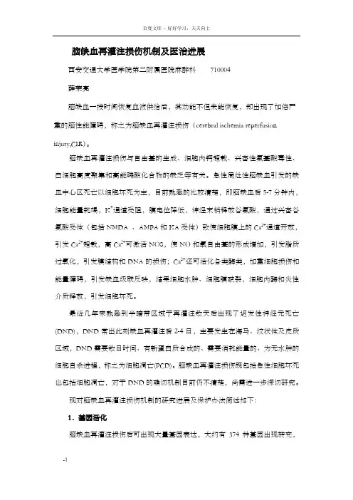 缺血再灌注损伤机制与保护综述
