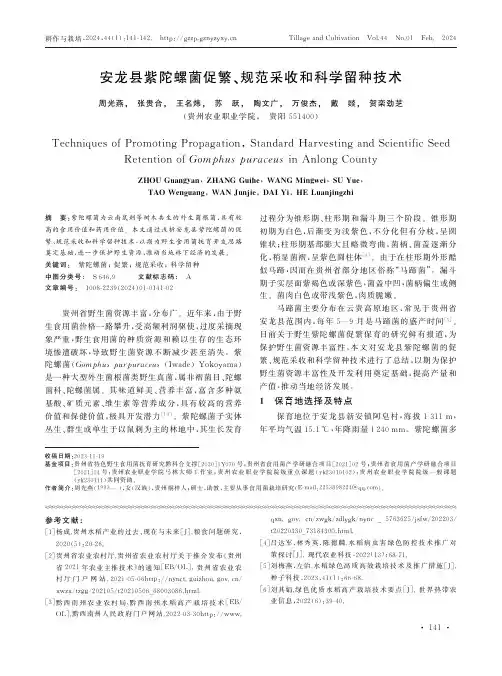 安龙县紫陀螺菌促繁、规范采收和科学留种技术