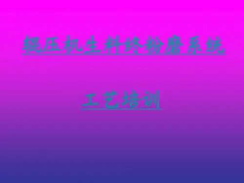 孙天力-辊压机生料终粉磨操作手册