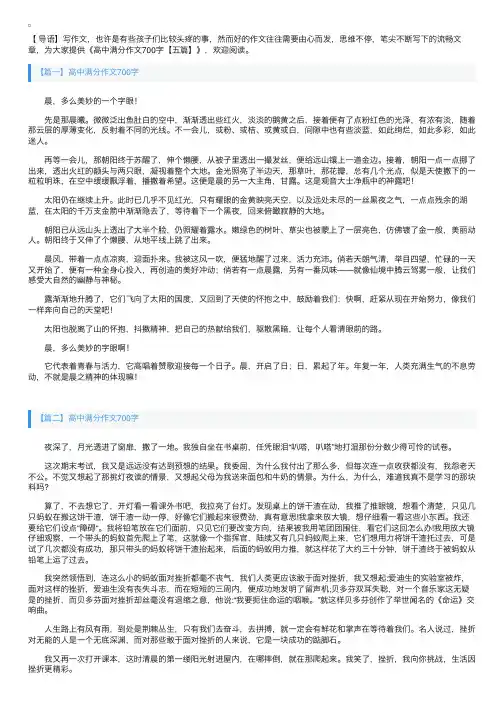 高中满分作文700字【五篇】