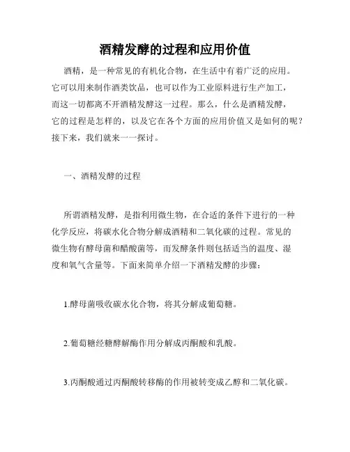 酒精发酵的过程和应用价值