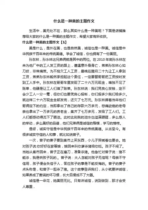 什么是一种美的主题作文
