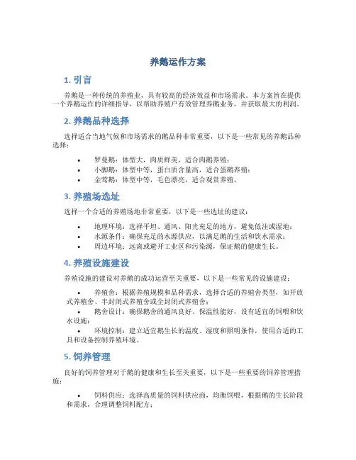 养鹅运作方案