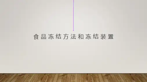 食品冻结方法和冻结装置