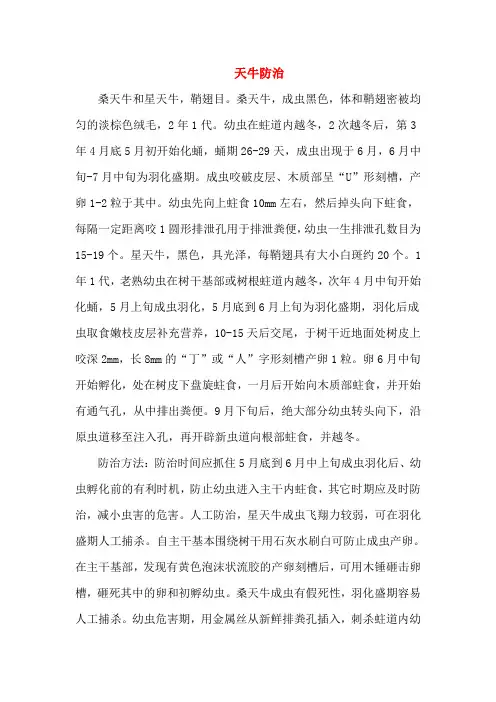 天牛的防治